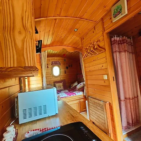 Gentiane - Le Nid Nomade