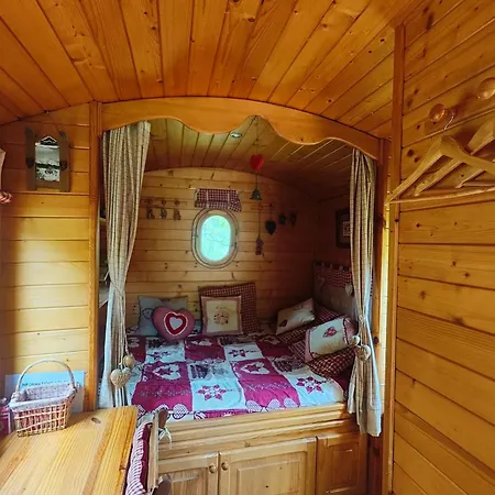 Gentiane - Le Nid Nomade Gèdre