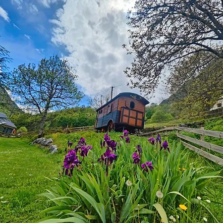 Gentiane - Le Nid Nomade *